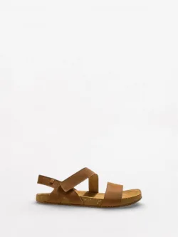 Balance N5791